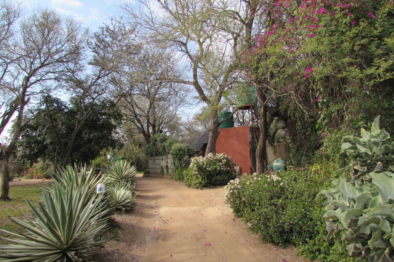 Amanzimlotzi Riverside Bush Camp Hoedspruit Εξωτερικό φωτογραφία