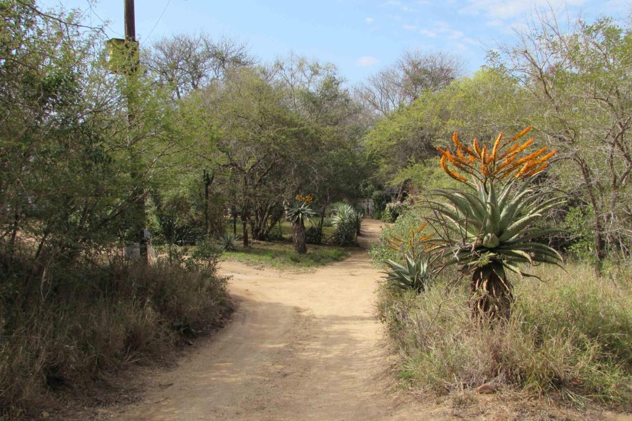 Amanzimlotzi Riverside Bush Camp Hoedspruit Εξωτερικό φωτογραφία