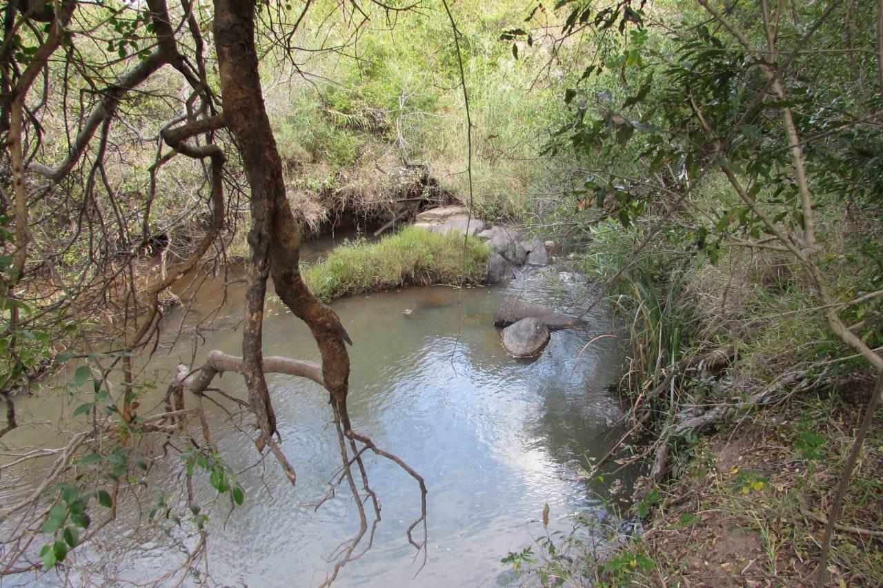 Amanzimlotzi Riverside Bush Camp Hoedspruit Εξωτερικό φωτογραφία