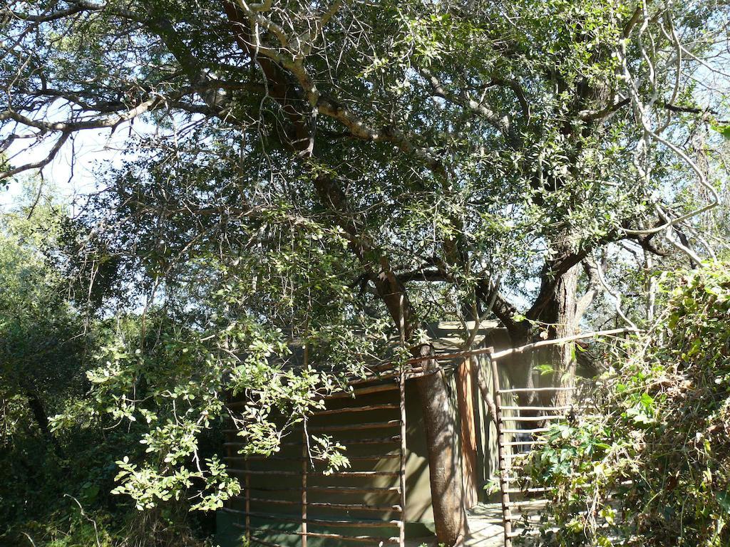 Amanzimlotzi Riverside Bush Camp Hoedspruit Δωμάτιο φωτογραφία