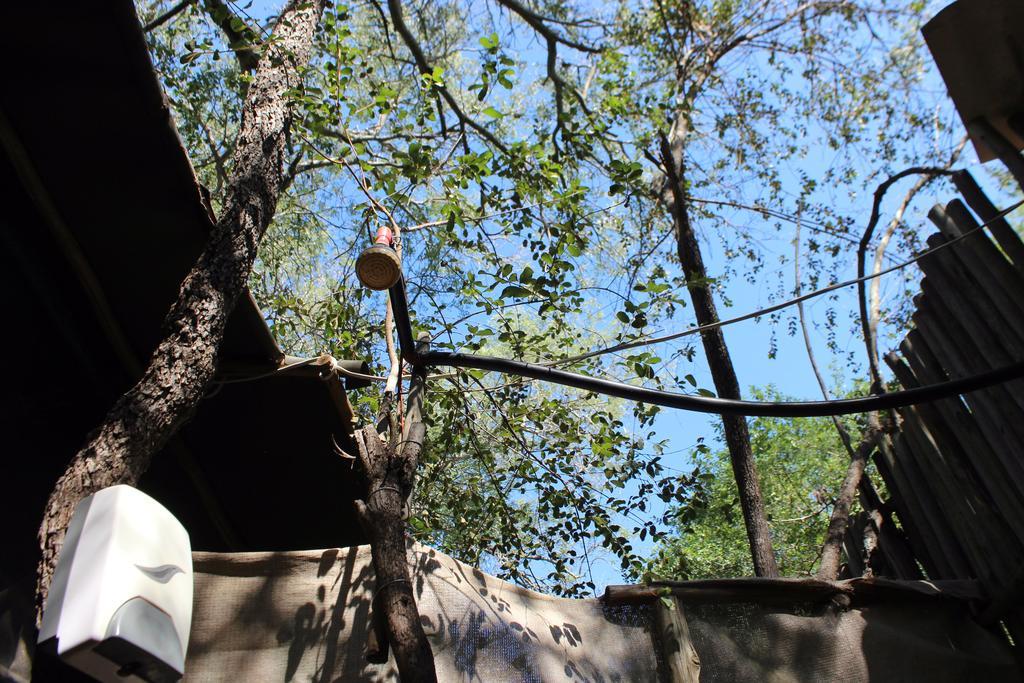 Amanzimlotzi Riverside Bush Camp Hoedspruit Εξωτερικό φωτογραφία