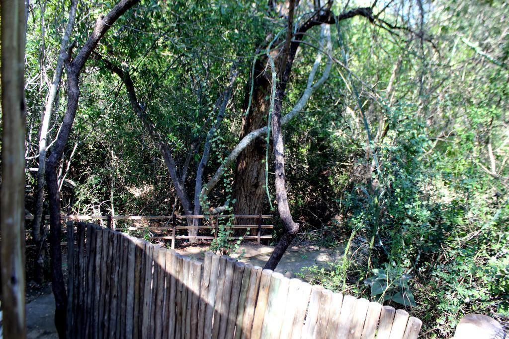 Amanzimlotzi Riverside Bush Camp Hoedspruit Εξωτερικό φωτογραφία