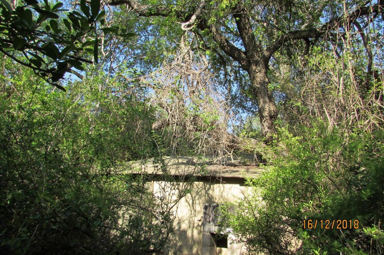Amanzimlotzi Riverside Bush Camp Hoedspruit Εξωτερικό φωτογραφία