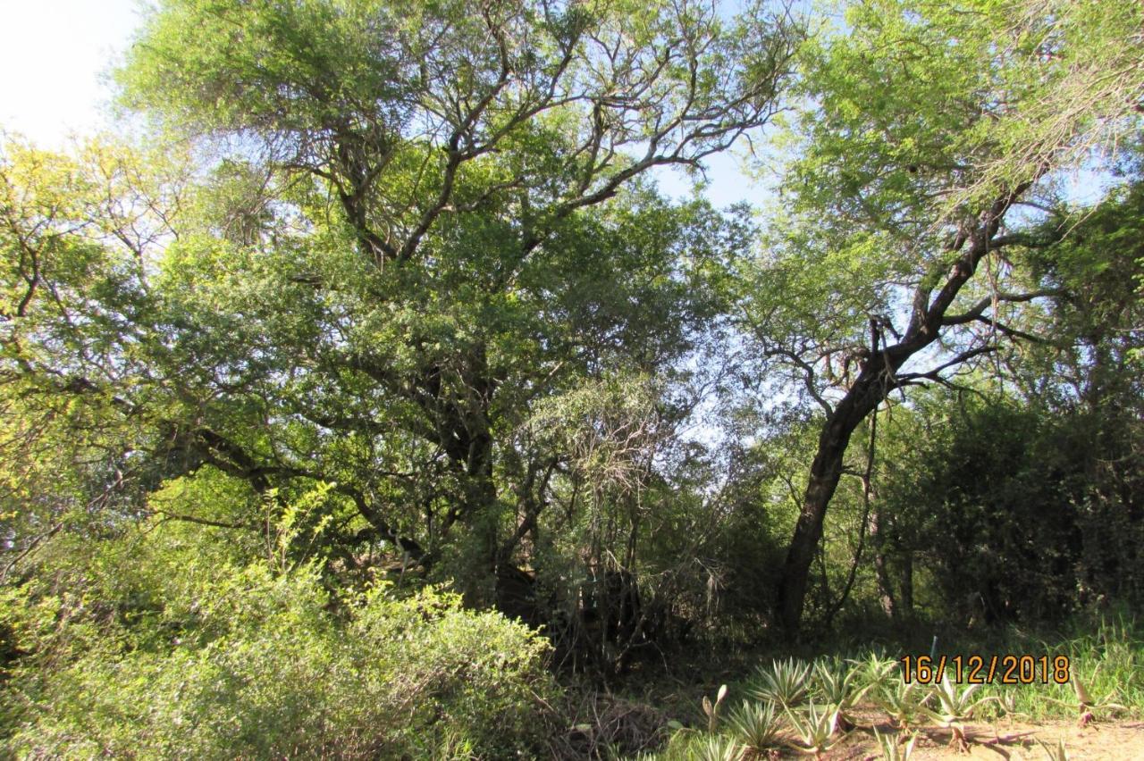 Amanzimlotzi Riverside Bush Camp Hoedspruit Εξωτερικό φωτογραφία