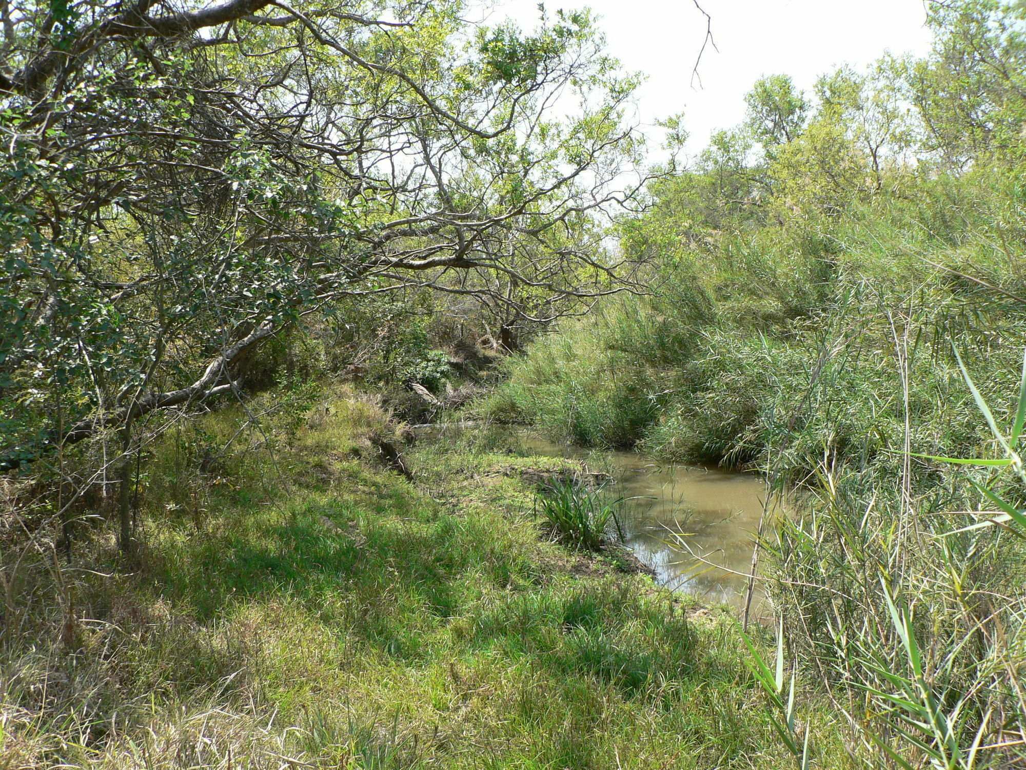 Amanzimlotzi Riverside Bush Camp Hoedspruit Εξωτερικό φωτογραφία